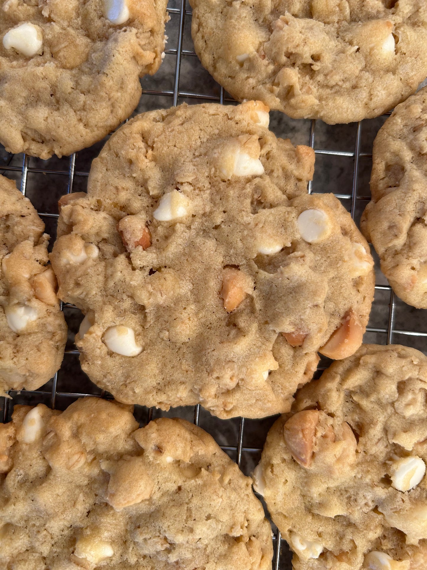 Macadamia White Chocolate Chip